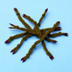 Enrico Puglisi EP CRAB CLAW