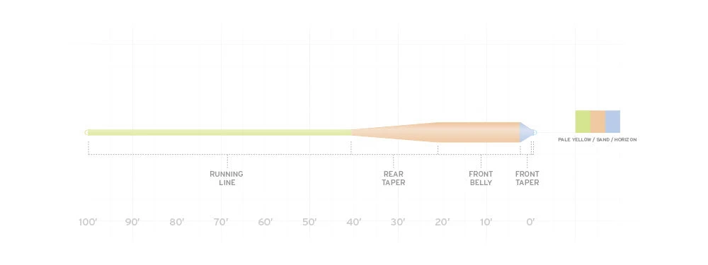 Fly Lines SCIENTIFIC ANGLERS AMPLITUDE SMOOTH - GRAND SLAM TAPER
