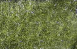 Hareline Fly Fish Food's Bruiser Blend Dubbing Materials