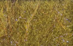 Hareline Fly Fish Food's Bruiser Blend Dubbing Materials