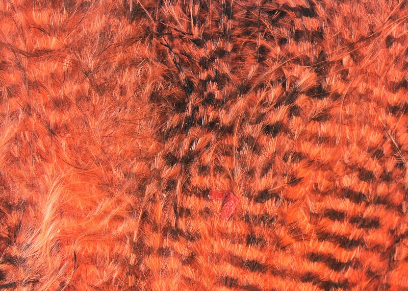 Hareline Fine Black Barred Marabou Feathers Materials