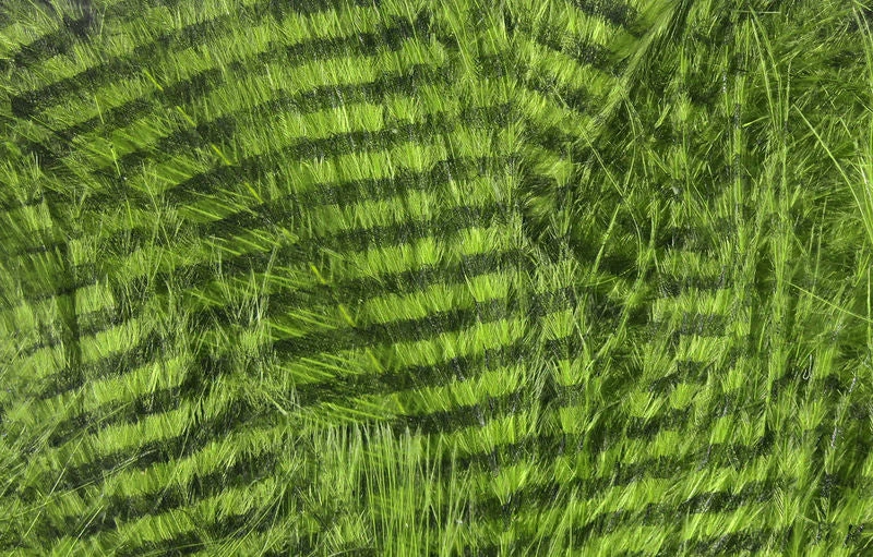 Hareline Fine Black Barred Marabou Feathers Materials