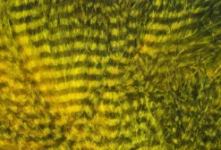 Hareline Fine Black Barred Marabou Feathers Materials