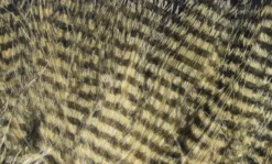 Hareline Fine Black Barred Marabou Feathers Materials