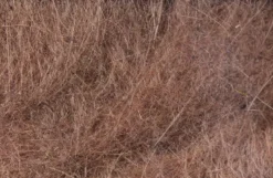 Hareline Dubbin Materials