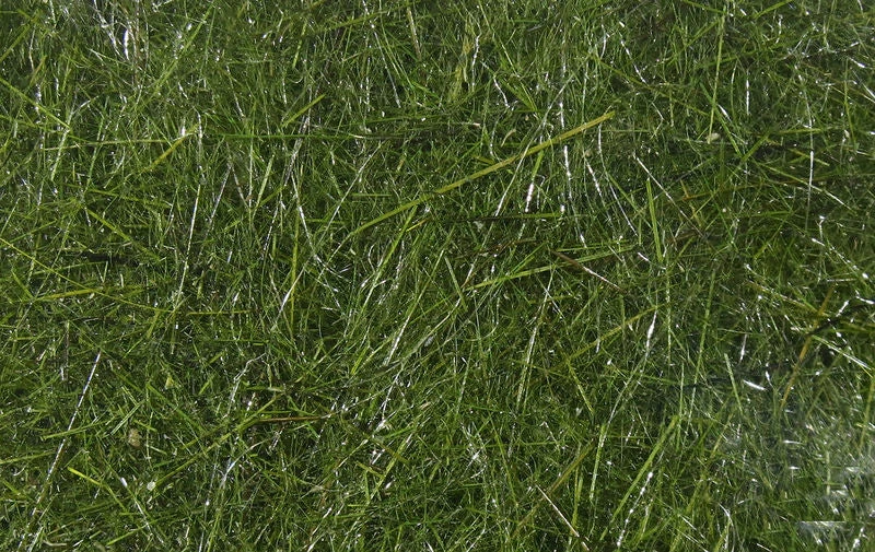 Hareline Materials Hare's Ear Plus Dub