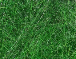 Hareline Materials Hare's Ear Plus Dub