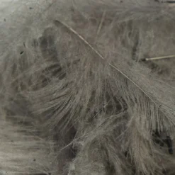 Trout Hunter CDC Feathers Dyed 0.5 Gram