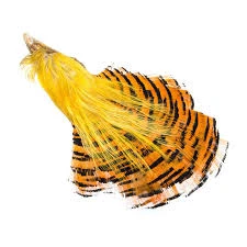 Wapsi GOLDEN PHEASANT